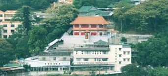 http://www.sintintoa.org.hk/